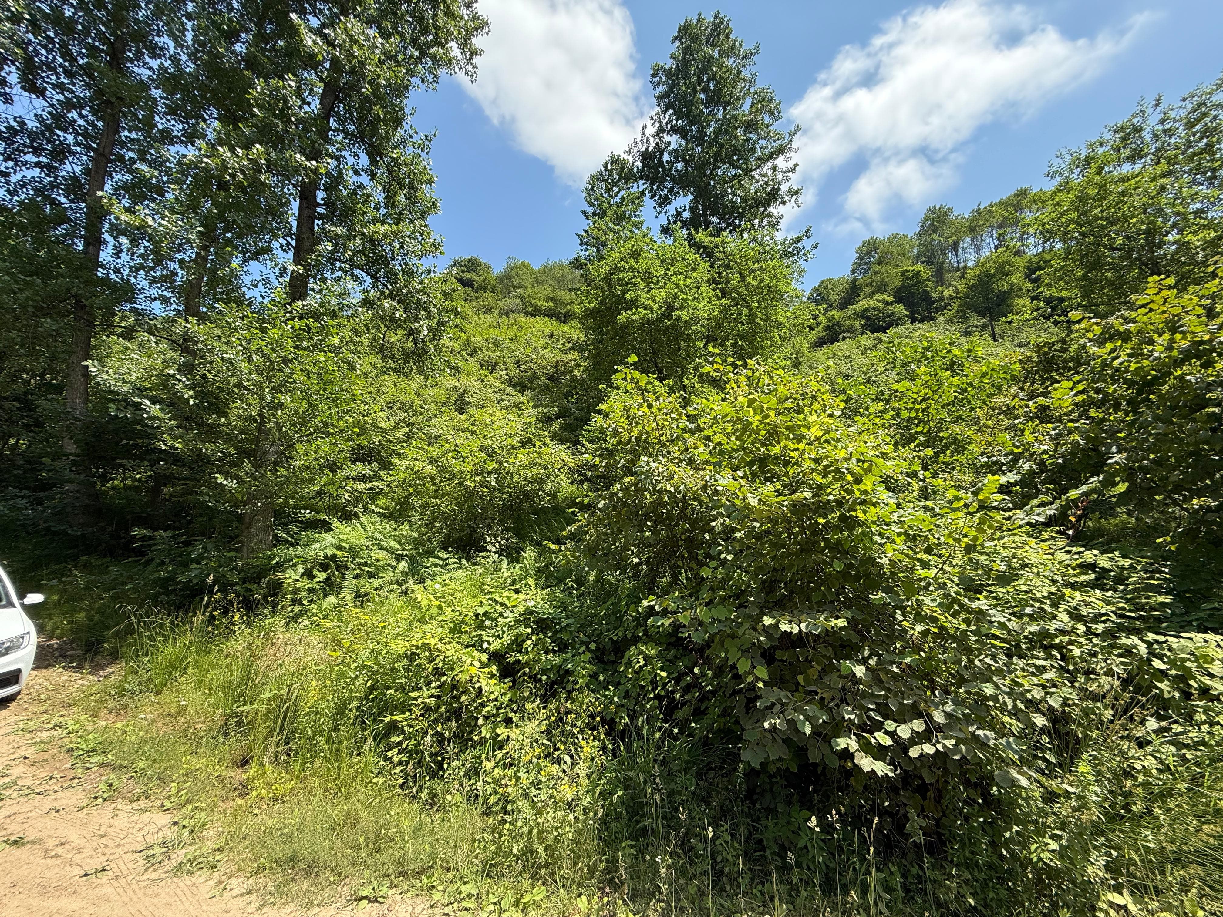 !!! ARSİN DİLEK MH SAHİLE 2.5 KM FIRSATT SATILIK ARSA !!!